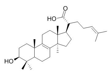 Trametenolic acid
