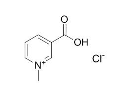 Trigonelline hydrochloride