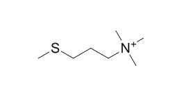 Trimethyl[3-(methylthio)propyl]ammonium(1+)