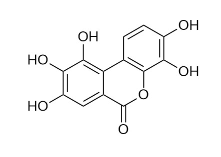 Urolithin M5