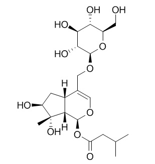 Valerosidate