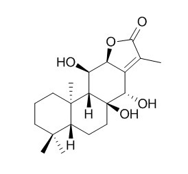 Yuexiandajisu D