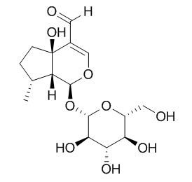 Yuheinoside