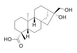 ent-16beta,17-二羟基-19-异贝壳杉烷酸