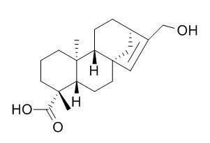 ent-17-Hydroxykaur-15-en-19-oic acid