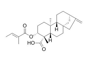 ent-3Beta-Tigloyloxykaur-16-en-19-oic acid