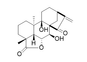 ent-7alpha,9-Dihydroxy-15-oxokaur-16-en-19,6bet-olide