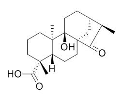 ent-9-Hydroxy-15-oxo-19-kauranoic acid