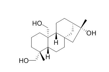 ent-Kaurane-16beta,19,20-triol