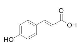 p-Hydroxy-cinnamic acid